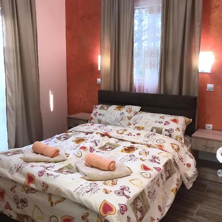 Velin Raj סוקו בניה