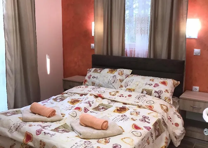 Velin Raj סוקו בניה