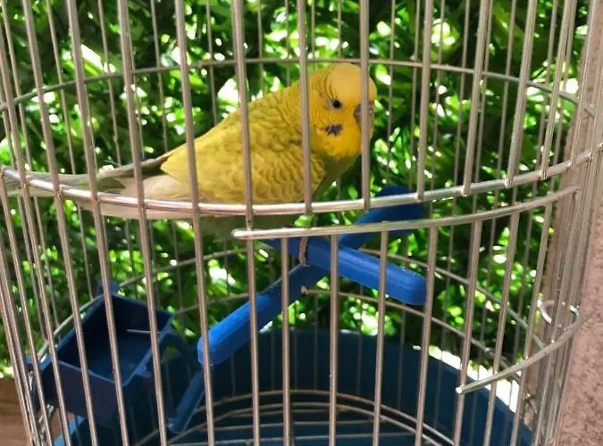 בית נופש Velin Raj *