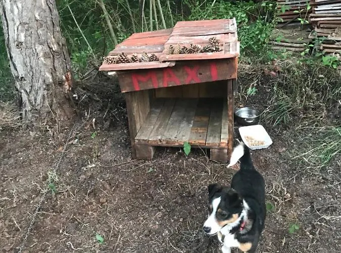 Velin Raj בית נופש סוקו בניה